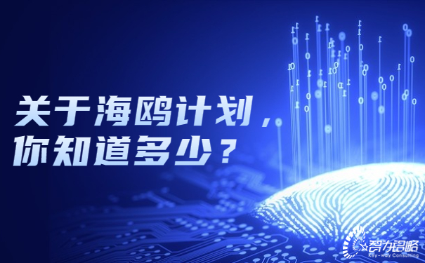 關(guān)于海鷗計劃，你知道多少？.jpg