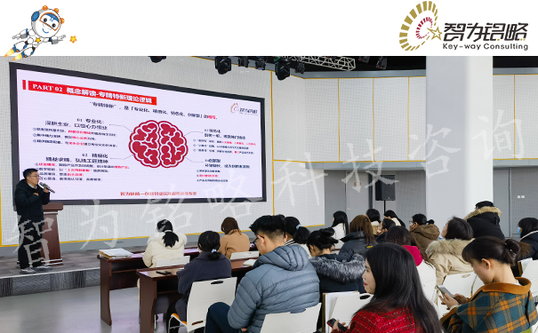 智為銘略受邀主講專精特新企業(yè)申報實務(wù)指導專題培訓會