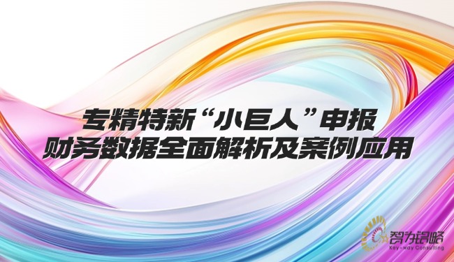 專精特新“小巨人”申報(bào)財(cái)務(wù)數(shù)據(jù)全面解析及案例應(yīng)用.jpg