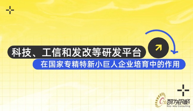 科技、工信和發(fā)改等研發(fā)平臺在國家專精特新小巨人企業(yè)培育中的作用.jpg