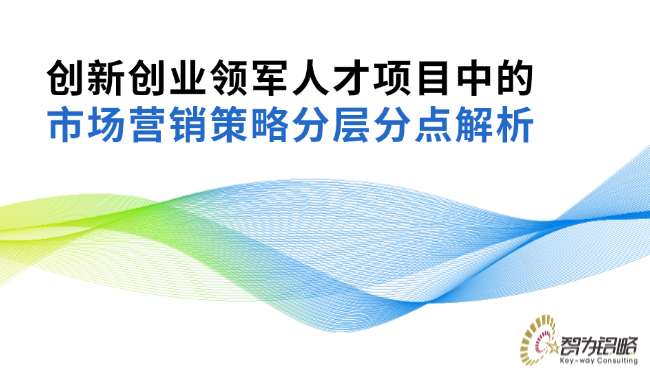 創(chuàng)新創(chuàng)業(yè)領(lǐng)軍人才項(xiàng)目中的市場營銷策略分層分點(diǎn)解析.png