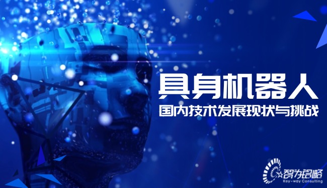 具身機器人國內(nèi)技術(shù)發(fā)展現(xiàn)狀與挑戰(zhàn)